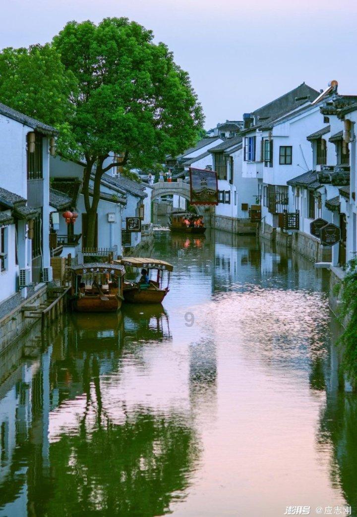 丁霞高光一战，替补出场3扣3中，化身带刀二传，球队却无缘八强